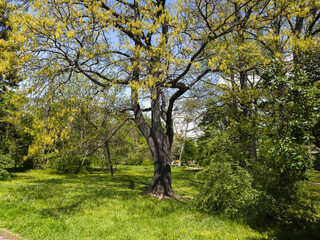 Borisova gradina (Boris Garden) in city of Sofia, Bulgaria