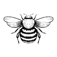 Cartoon bee mascot. A small bees flies. Wasp collection. Vector characters. Incest icon. Template design for invitation, cards. Doodle style.
