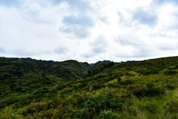 Lush green hillsides under a cloudy sky, with scattered trees and brush in Meghalaya. 