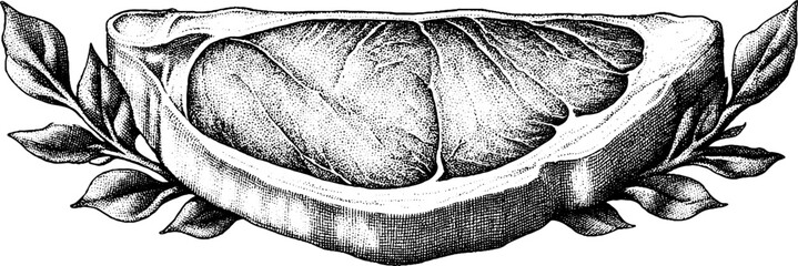 Rump steak with salt crystals dotwork design for culinary art and packaging