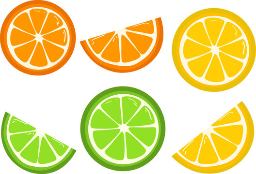 Vector set of citrus slices with lemon, orange and lime in round and wedge shapes on transparent background.