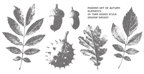 Autumn elements in photocopy style. Chestnut, acorns, and autumn leaves of oak, rowan, and rosehip. Modern grunge style with torn edges effect. Perfect for collages, posters, banners, social media