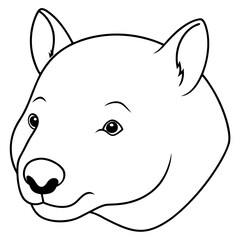 Wombat Head Line Art Illustration on White Background for Banner or Advertisement Design Project