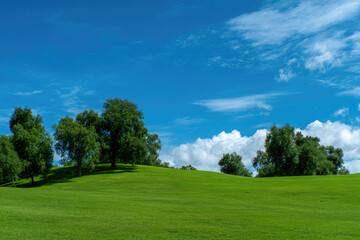 Lush Green Hill Under a Vivid Blue Sky with Puffy Clouds and Trees