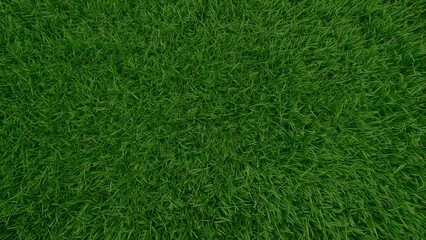 Close-up view of vibrant green grass texture.
