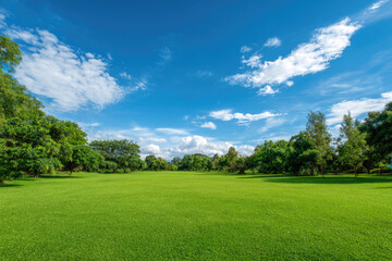 Obraz premium Lush Green Meadow Under a Vivid Blue Sky with Fluffy Clouds and Trees