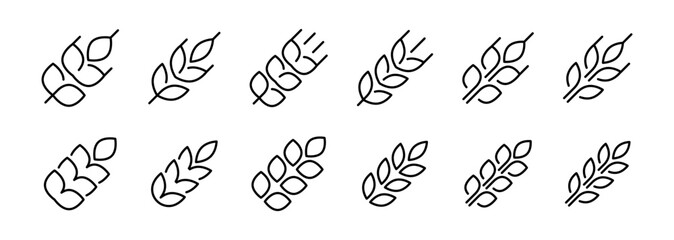 Grain icons. Wheat ear icon set. Gluten symbol. Vector
