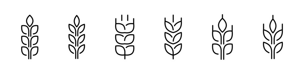 Grain vector icons. Wheat ear icon collection. Gluten symbol. Vector