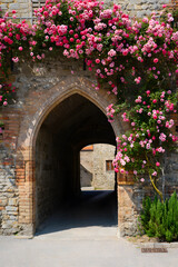 Naklejka premium Stone archway entrance overgrown with pink roses