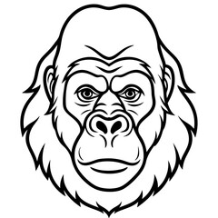 Detailed Gorilla Head Line Art Illustration on a White Background for Banner or Advertisement Design