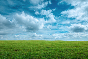 Vast Green Meadow Under a Dramatic Sky