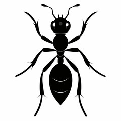 Ant Silhouette Vector Illustration on White Background with CMYK Colors and Helvetica Font for Design