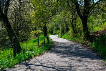 the way
