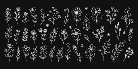 Spring white pencil botanical illustration with hand-drawn wildflowers