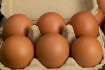 Fresh eggs from organic farms every morning