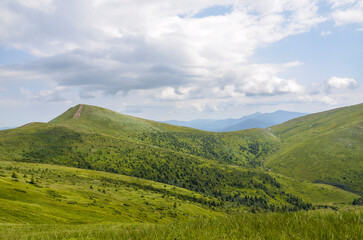 Vast green mountain landscape showcasing gentle hills and valleys under serene partly cloudy sky, perfect for depicting nature's tranquility, beauty, and open wilderness. Carpathian Mountains, Ukraine