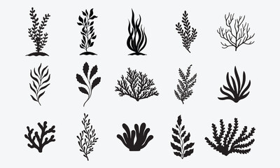 Underwater Plants Vector Set of Seaweed, Coral, and Marine Vegetation in Silhouette on White Background