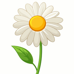 Isolated Chamomile Flower Vector Illustration Detailed Floral Design Element for Spring Summer and Natural Beauty Concepts