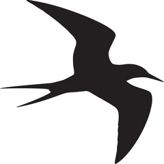 Silhouette of a bird in flight with long wings and tail against a white background in a simple design