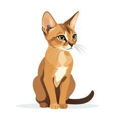 Fototapeta premium 無邪気で愛らしいアビシニアン猫