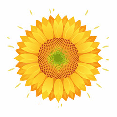 Illustration of a bright yellow sunflower with a textured brown and green center, radiating light.