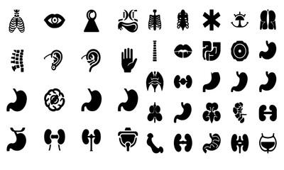 Obraz premium Anatomy Glyph Icon Set – Vector Silhouette of Human Body Organs & Parts