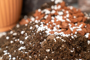 rich organic potting soil with perlite and clay pebbles, perfect for gardening, plant growth,...