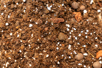 rich organic potting soil with perlite and clay pebbles, perfect for gardening, plant growth,...