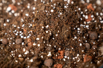 rich organic potting soil with perlite and clay pebbles, perfect for gardening, plant growth,...