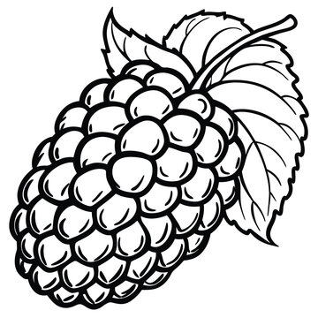 Black and white illustration of a berry cluster with leaf