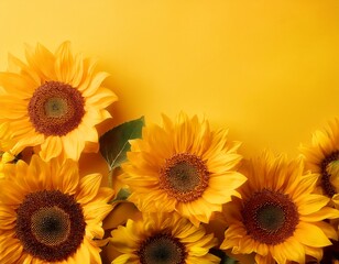vibrant sunflowers clustered on sunny yellow backdrop sunflowers sunny image