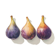 Obraz premium Three ripe purple figs arranged in a row on a light background watercolor painting