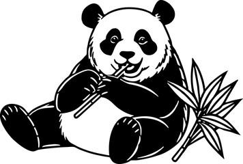 A panda sitting and chewing bamboo, isolated on a white background. panda bear with a bamboo