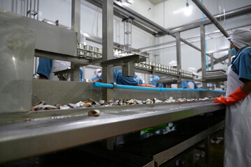 Workers process seafood in a bustling production facility during the day