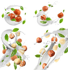 Nut milk splashes with hazelnuts and green leaves in air on white background, collage