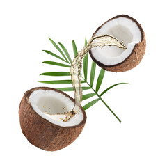 Halved coconut and oil on white background