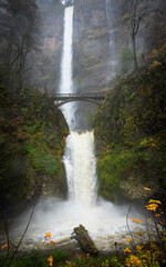 Fototapeta premium Multnomah Falls in the Columbia River Gorge, Oregon, USA