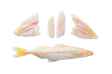 Flat-lay photo of scattered Atlantic cod fillets and whole fish, bright studio lighting, top-down view, isolated on black background displaying texture and fresh seafood quality