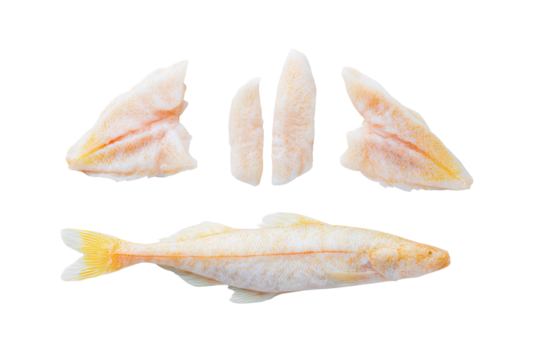 Flat-lay photo of scattered Atlantic cod fillets and whole fish, bright studio lighting, top-down view, isolated on black background displaying texture and fresh seafood quality