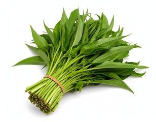 A bunch of fresh water spinach or morning glory tied together with a rubber band Isolated on white background