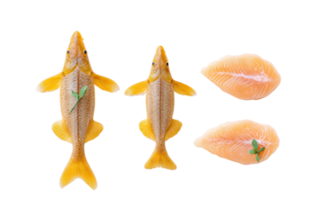Flat-lay studio photo of catfish fillets symmetrically arranged beside whole fish, bright lighting, top-down view, isolated on black background showing speckled skin and firm flesh