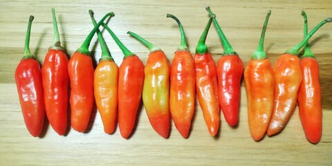 Perfectly Aligned Raw Chili Peppers, Highlighting Their Smooth Texture and Vibrant Hues of Orange...