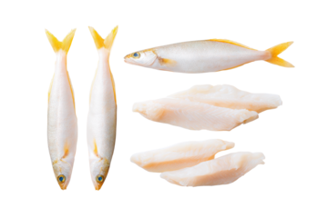 Flat-lay studio image of scattered European hake fish, bright lighting, top-down view, isolated on black background showing fresh ocean catch texture