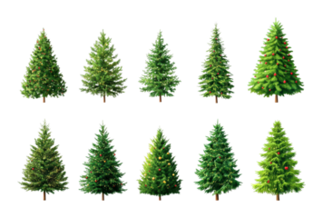 Decorating christmas trees with ornaments holiday spirit digital festive mood isolated on transparent background