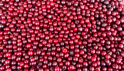 Pile of ripe cherries with top view.