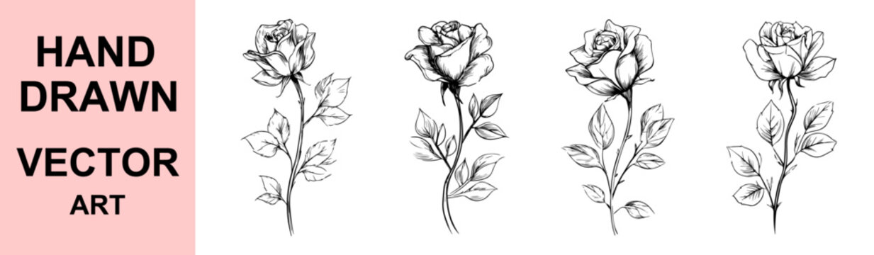Elegant hand drawn rose flower botanical illustration black and white floral sketch vector outline design for tattoo art, wedding, fashion, romantic, decorative use

