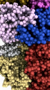 Molecular model displaying protein quaternary structure with six polypeptide subunits of different colors, educational scientific visualization