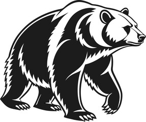 bear vector illustration