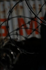barbed wire fence