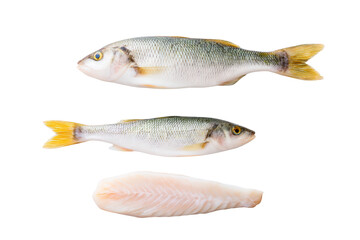 Fototapeta premium Close-up lateral sea-bass scales, no background